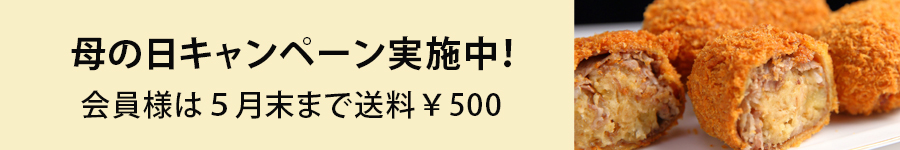 母の日キャンペーン実施中